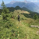 Chalet Heron Les Houches